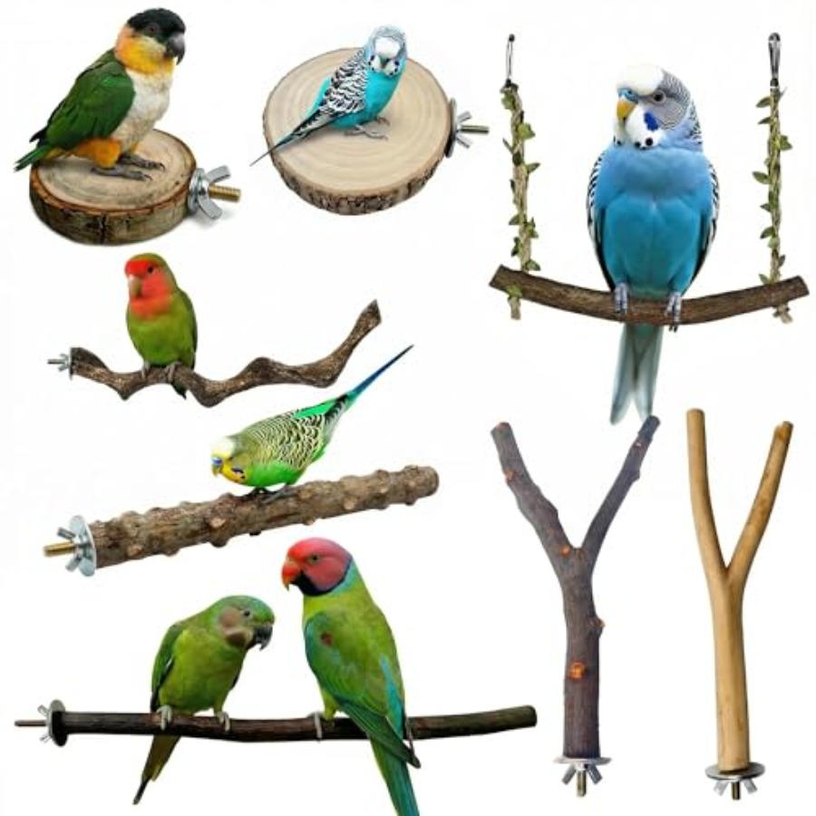 8PCS tempat bertengger burung  - Health & Wellness Resources ulasan dan harga