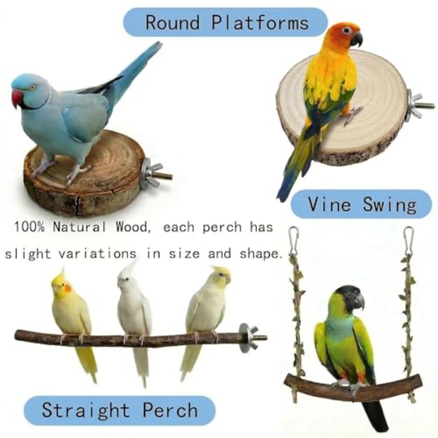 8PCS tempat bertengger burung  - Health & Wellness Resources ulasan dan harga